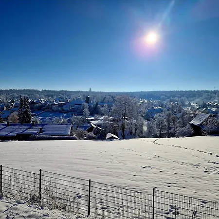 Modernes Panorama-domizil