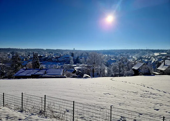 Modernes Panorama-domizil
